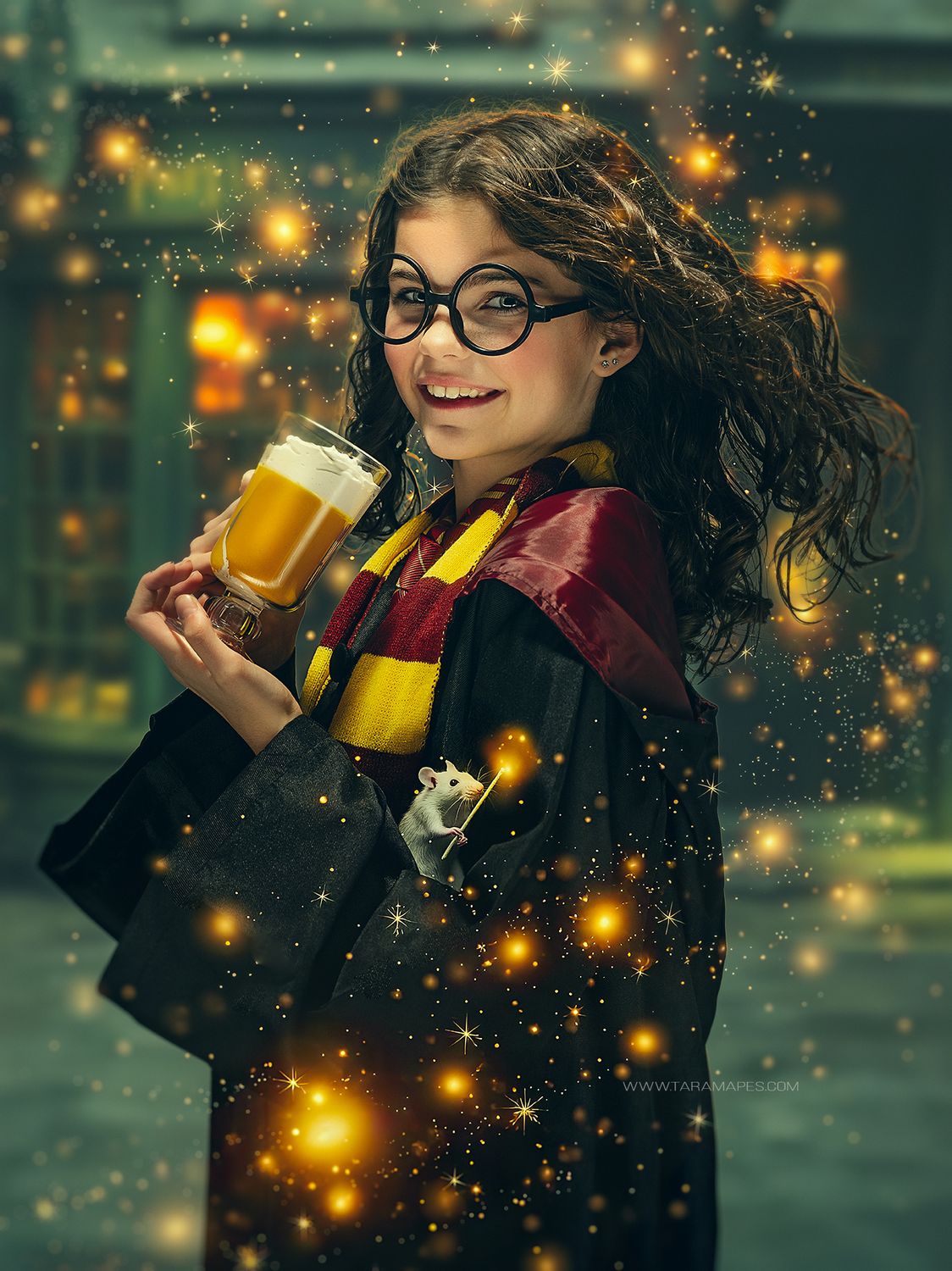 Wizard Shop Digital Backdrop -  Magic Wizard Digital Background