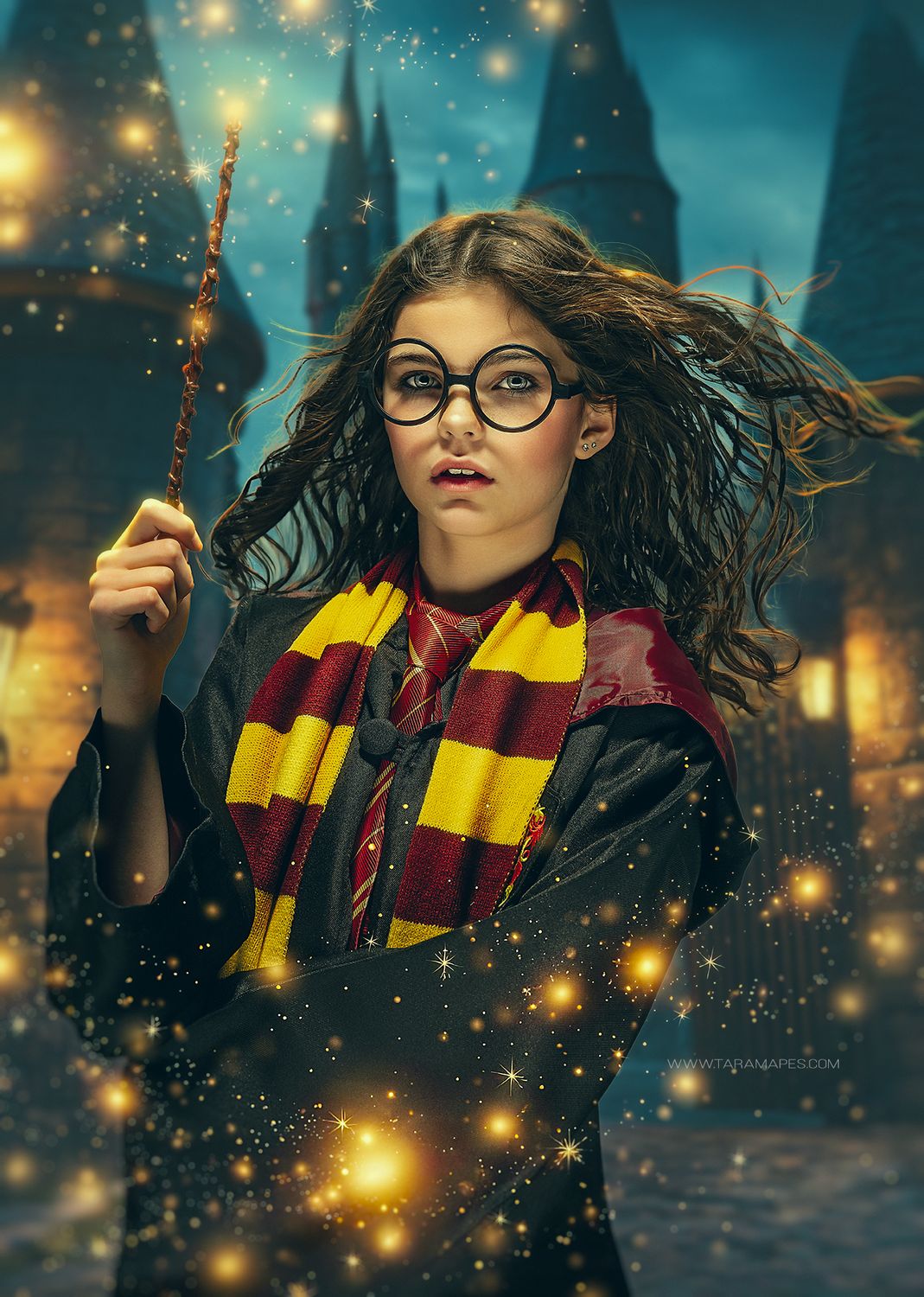 Wizard Castle Entrance Digital Backdrop -  Magic Wizard Digital Background