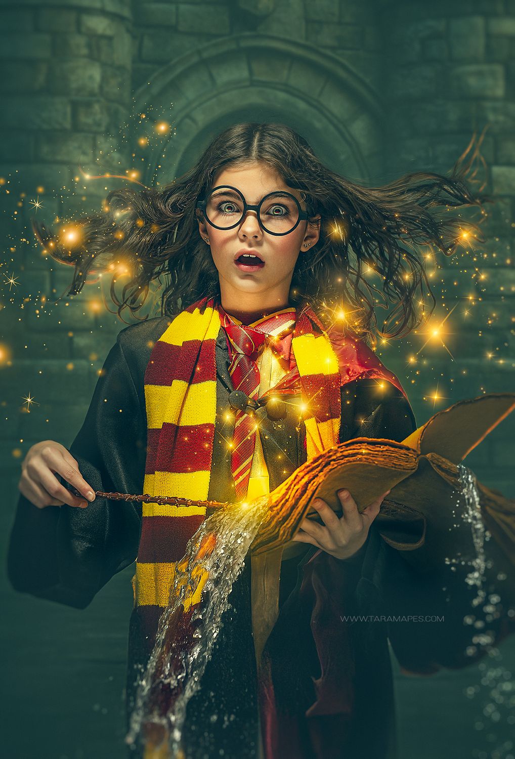 Wizard Castle Entrance Digital Backdrop -  Magic Wizard Digital Background