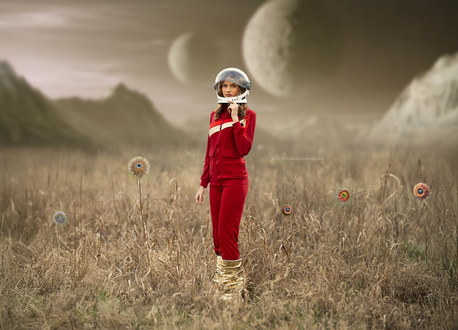 Alien Landscape with Flowers with Eyes -  Digital Background JPG FILE