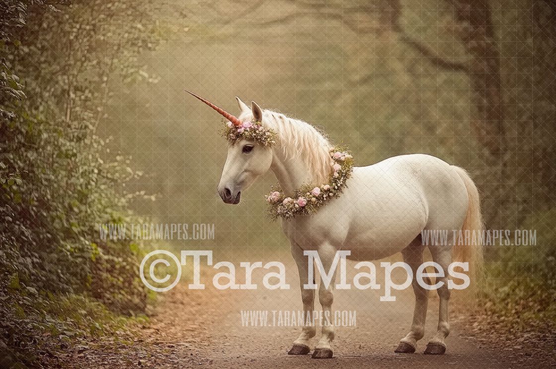 Unicorn Digital Backdrop  - Warm Sunlit Unicorn on Path Digital Background JPG