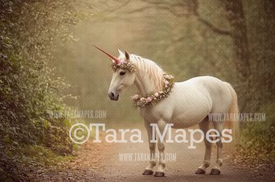 Unicorn Digital Backdrop  - Warm Sunlit Unicorn on Path Digital Background JPG