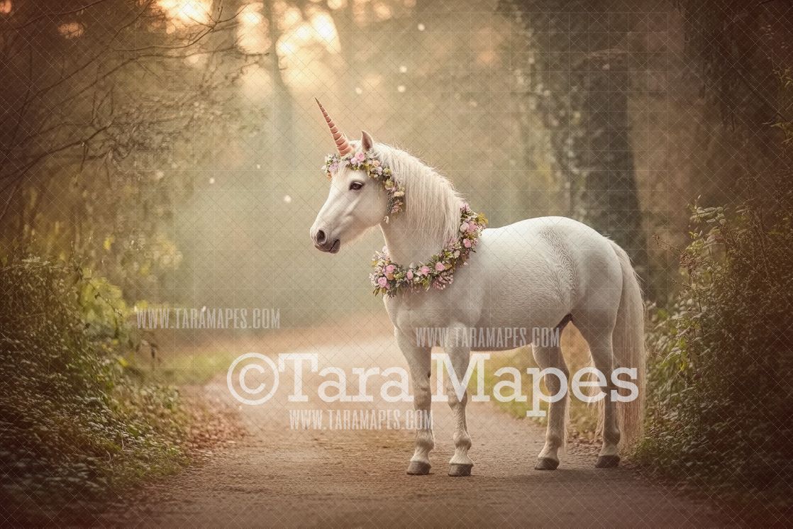 Unicorn Digital Backdrop  - Warm Sunlit Unicorn on Path Digital Background JPG