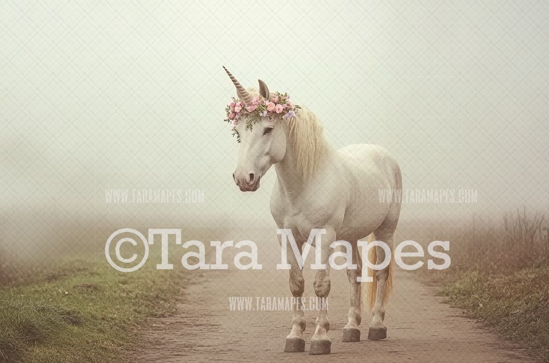 Unicorn Digital Backdrop  - Warm Sunlit Unicorn on Path Digital Background JPG