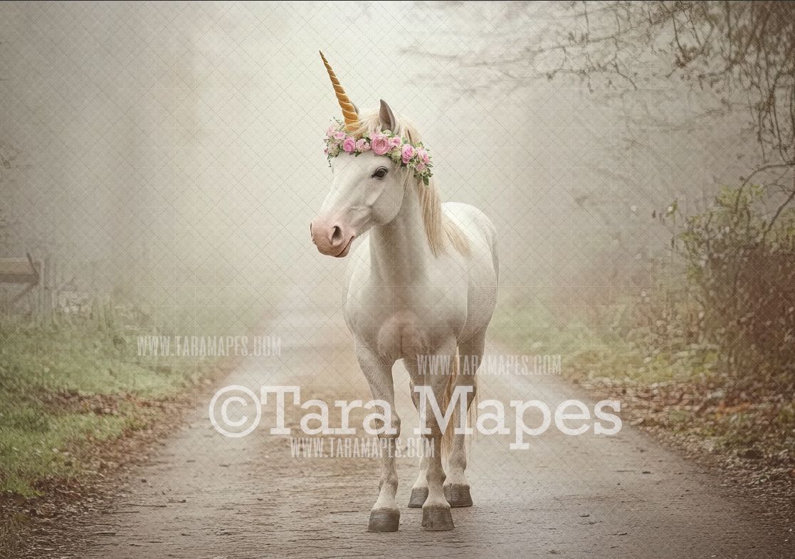 Unicorn Digital Backdrop  - Warm Sunlit Unicorn on Path Digital Background JPG