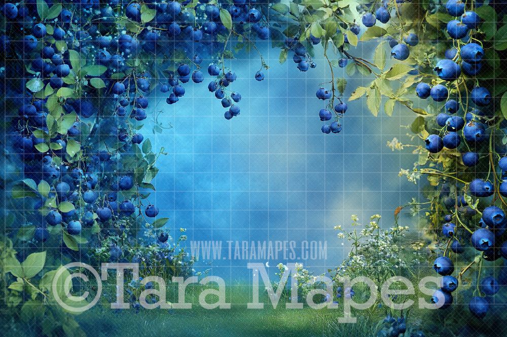 Blueberry Arch Digital Background - Blueberry Digital Backdrop (JPG FILE)