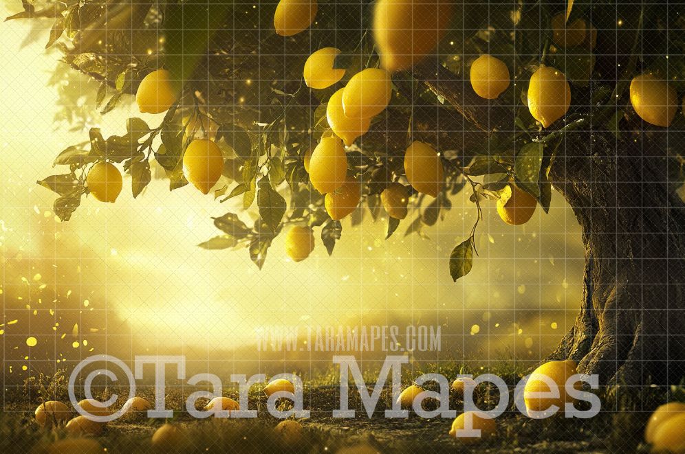 Fantasy Lemon Tree Digital Background - Lemon Digital Backdrop (JPG FILE)