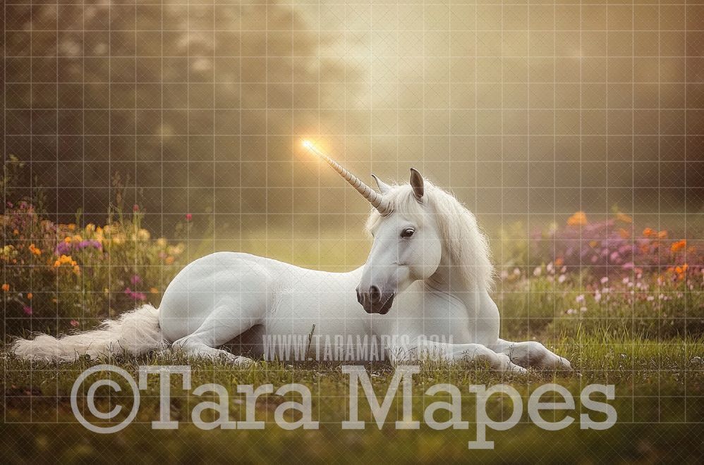 Unicorn Digital Backdrop - Magical Unicorn Digital Background
