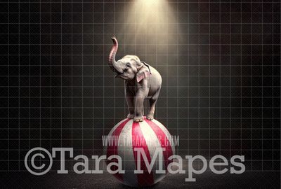 Circus Elephant on Ball Digital Background