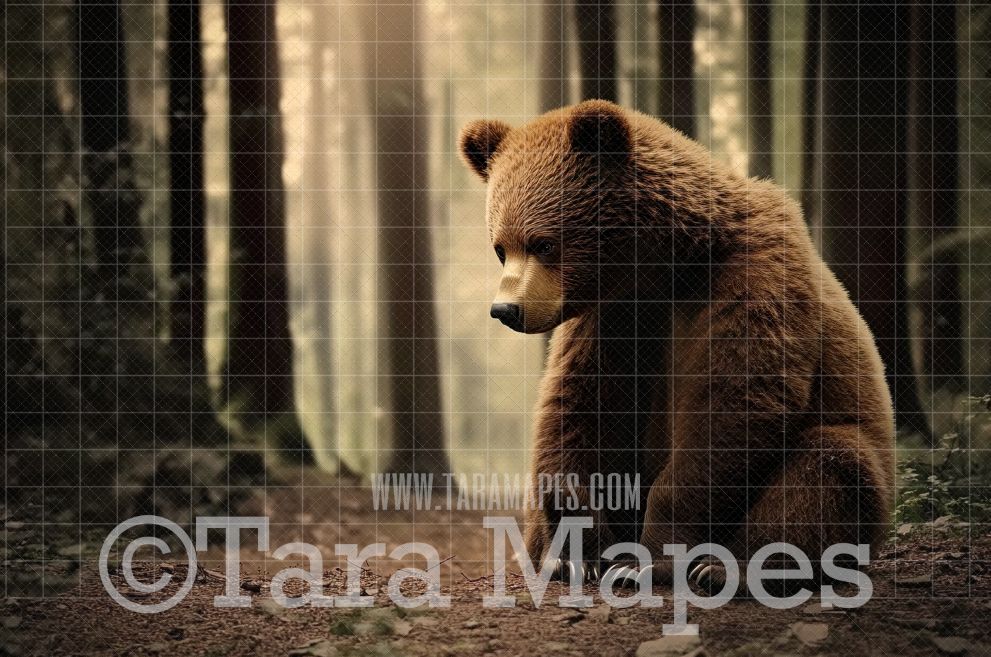 Baby Bear in Forest Digital Background - Brown Bear Digital  Backdrop