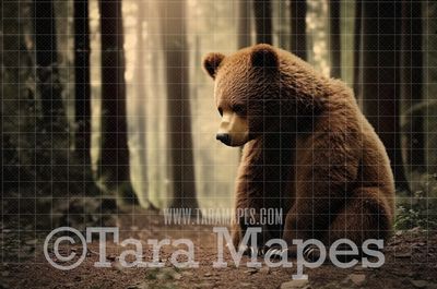 Baby Bear in Forest Digital Background - Brown Bear Digital  Backdrop