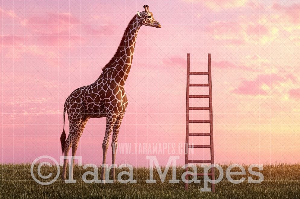 Giraffe by Ladder Digital Background - Giraffe Digital  Backdrop