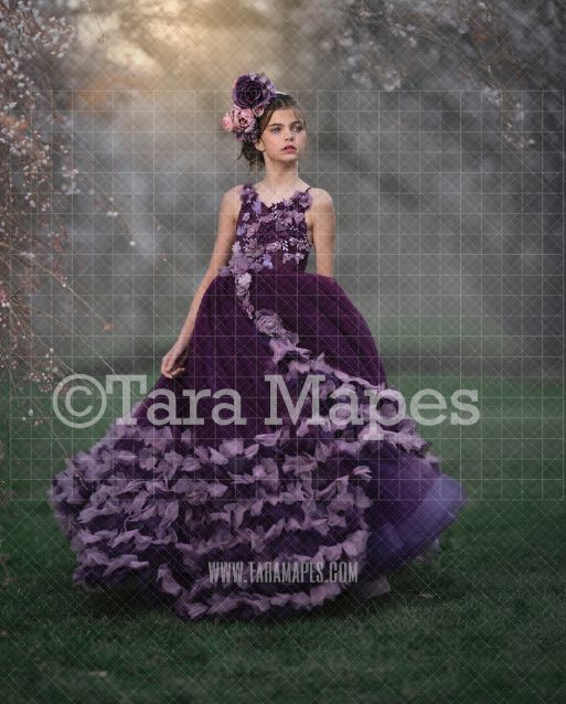 Cherry Blossom Digital  Backdrop