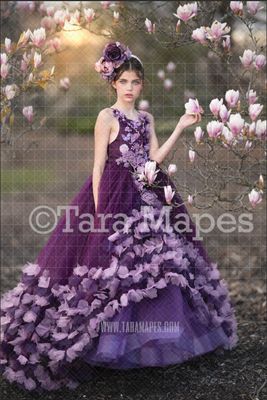 Magnolia Tree Digital  Backdrop