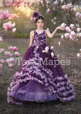 Magnolia Tree Digital  Backdrop
