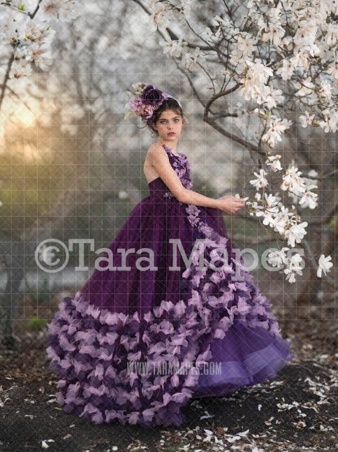 Magnolia Tree Digital  Backdrop