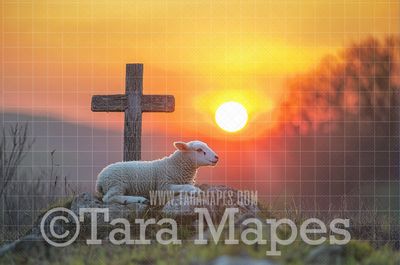 Lamb with a Cross in Field Digital Background - Easter Religious Digital  Backdrop