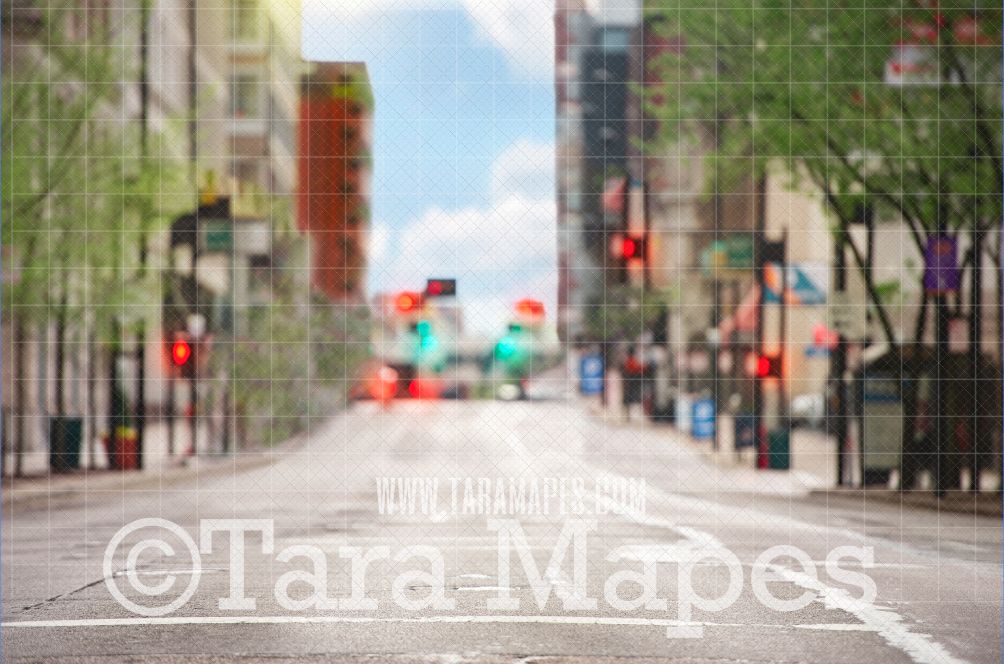 Urban City Street Digital Background Backdrop -  City Street with Traffic Lights  Digital Background