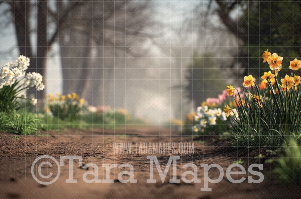 Spring Path Digital Background -  Floral Path Digital  Backdrop