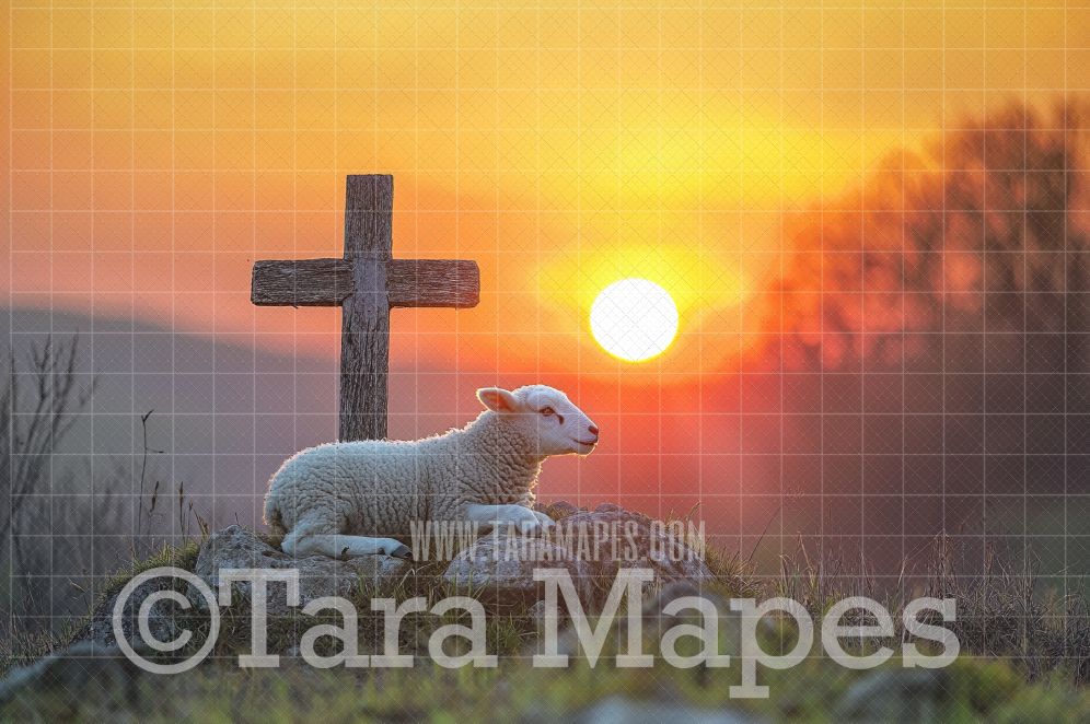 Lamb and Cross Digital Background -  Religious Easter Digital  Backdrop