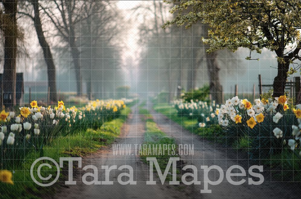 Spring Path Digital Background -  Floral Path Digital  Backdrop