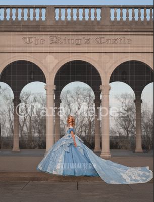 King's Castle Cinderella Digital Backdrop King's Castle Cinderella Digital Backdrop