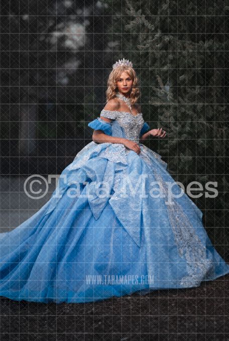 Castle Pine Digital  Backdrop