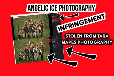 Angelic Ice Photography Stole Tara Mapes Photography Images for Eight Years