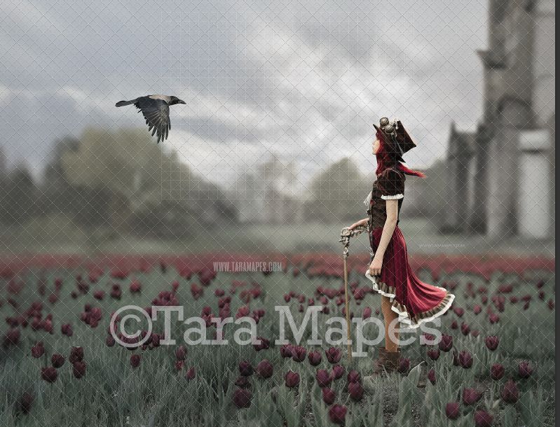 Black Tulip Field with Crow Digital  Backdrop