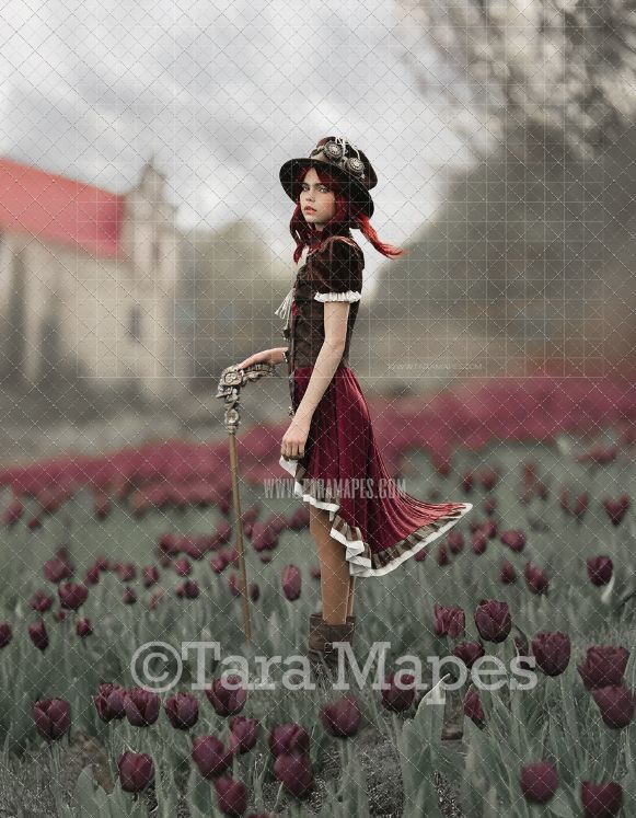 Black Tulip Field with Building Digital  Backdrop