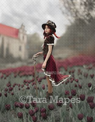 Black Tulip Field with Building Digital Backdrop Black Tulip Field with Building Digital Backdrop