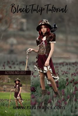 Black Tulips Photoshop Tutorial - Photoshop Action Workflow Set Included -- Fine Art Painterly Tutorial by Tara Mapes