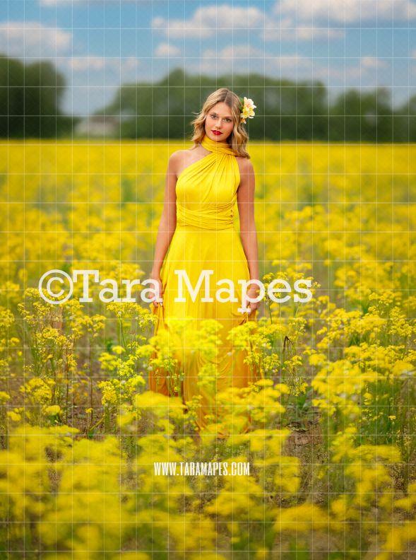 Yellow Flower Field Digital  Backdrop