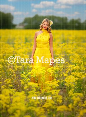 Yellow Flower Field Digital  Backdrop