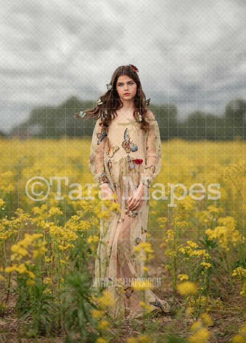 Yellow Flower Field with Cloudy Sky Digital  Backdrop