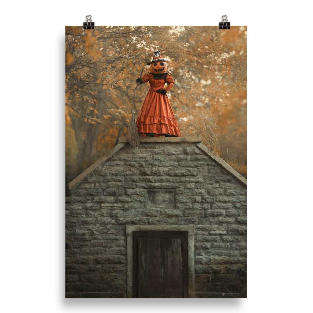 Ready For Take Off - Photo paper poster