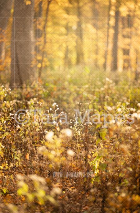 Autumn Path Digital Backdrop -  Fall Digital Background