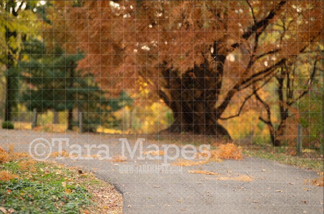 Autumn Road Digital Backdrop -  Fall Digital Background