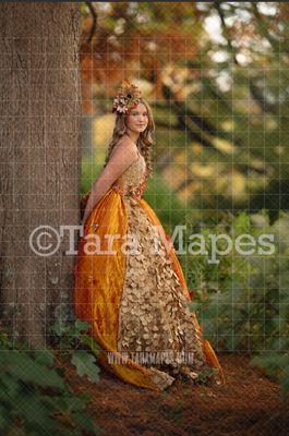 Autumn Tree Digital Backdrop -  Fall Digital Background