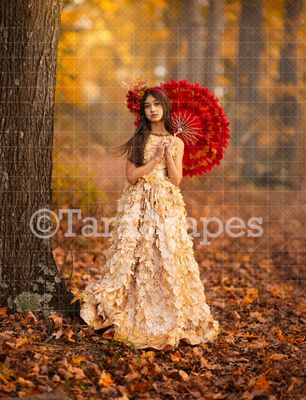 Autumn Tree Path Digital Backdrop -  Fall Digital Background