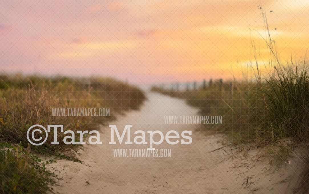 Beach Path Digital Backdrop - Beach Digital Background