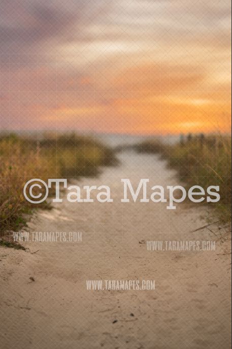 Beach Path Digital Backdrop - Beach Digital Background