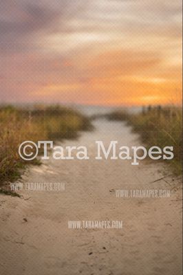 Beach Path Digital Backdrop - Beach Digital Background