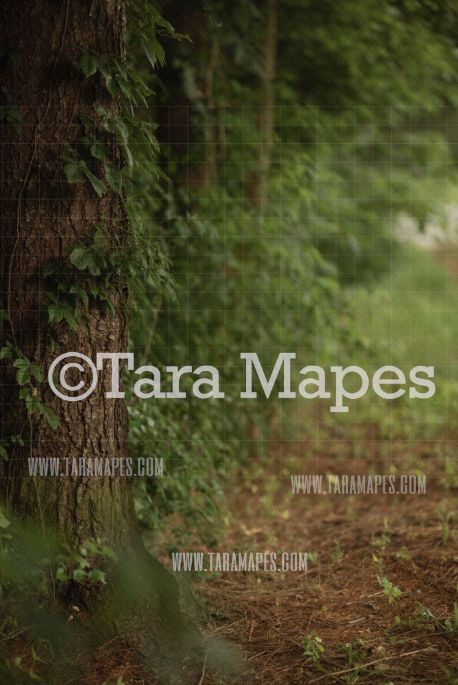 Ivy Tree Digital Background -  Digital  Backdrop