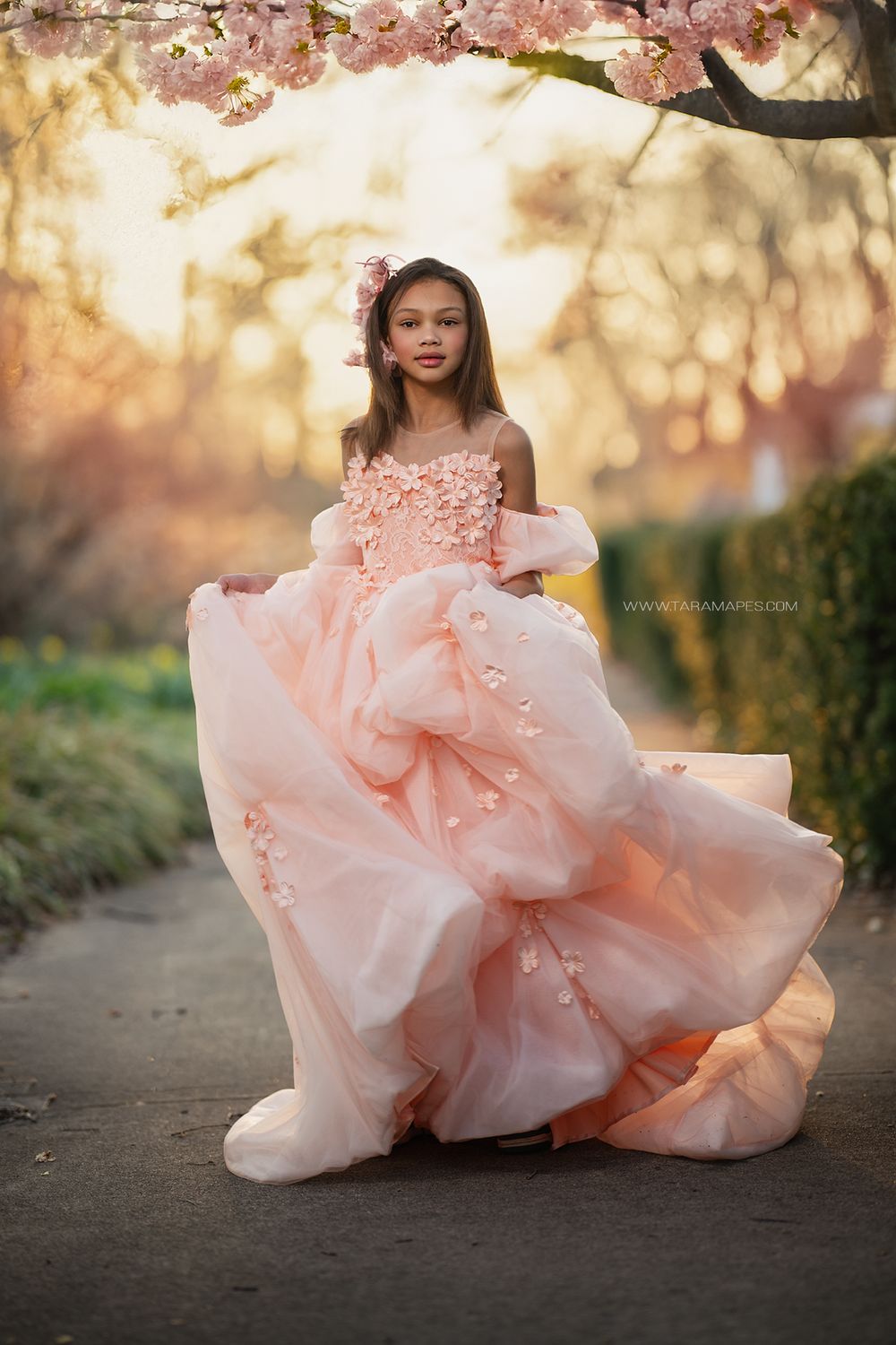 Cherry Blossom Path Digital Backdrop - Nature Digital Background