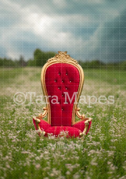 Throne in White Field of Flowers Digital Backdrop - Nature Digital Background