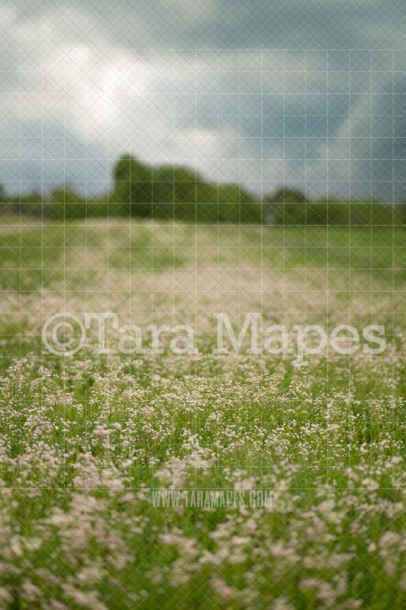White Field of Flowers 2 Pack Digital Backdrop - Nature Digital Background