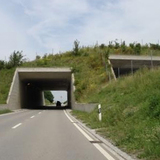 Roadside