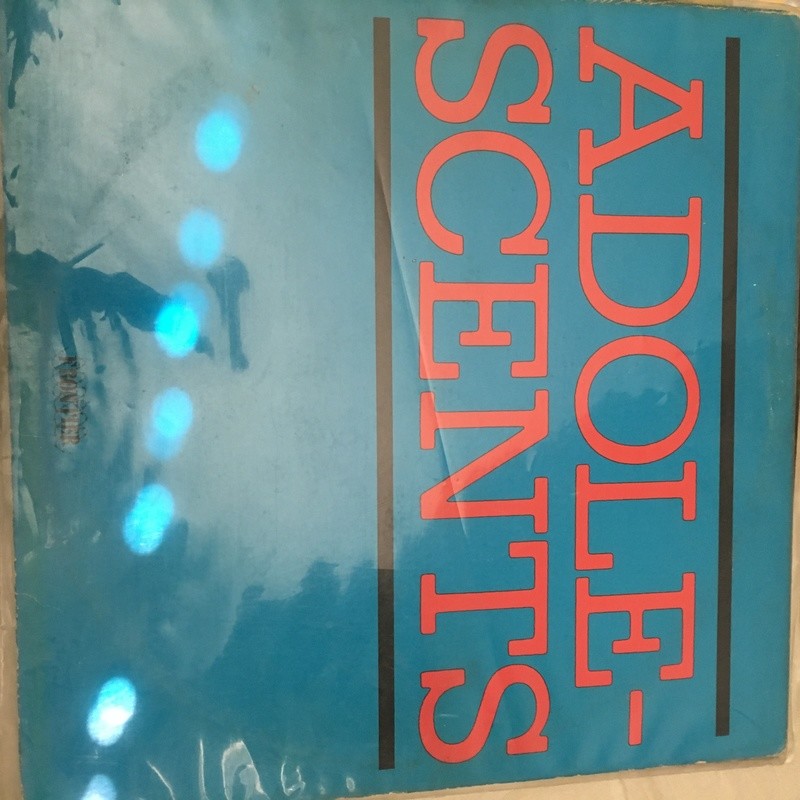 Adolescents HD 80,S Punk Rock