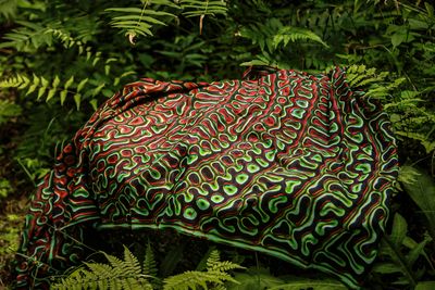 Silk + cotton scarf  (FOREST)